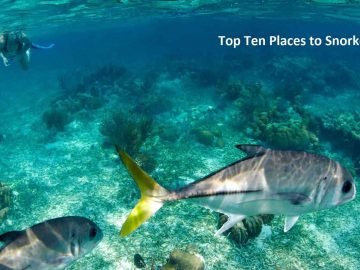 Top Ten Places to Snorkel