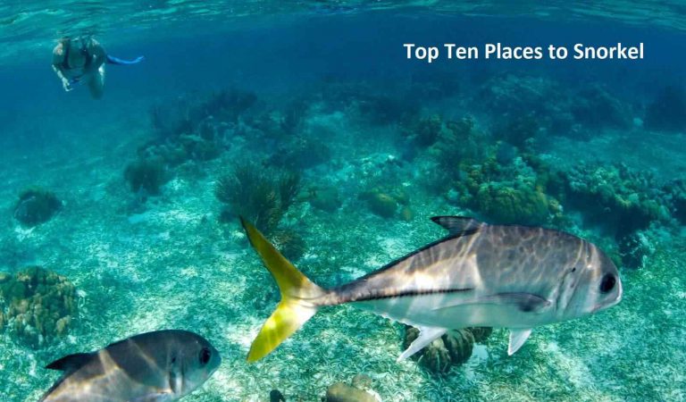 Top Ten Places to Snorkel