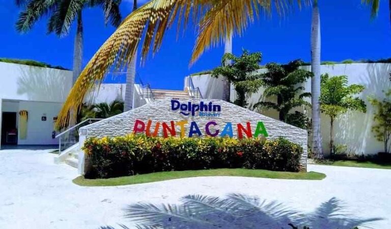 Dolphin Discovery es el único parque en República Dominicana con la acreditación AZA